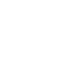 Icon placas